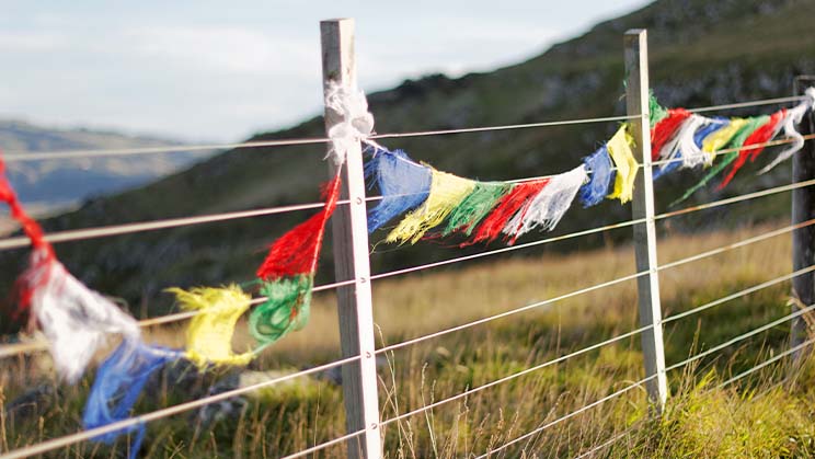 Banderas de oración tibetanas: 8 símbolos auspiciosos – Healingifts Herbs  and Healing