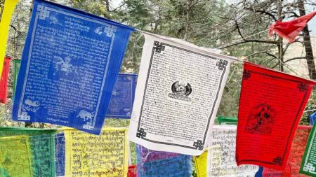 Bandera Tibetana De Oración Buda De La Medicina Envío Gratis
